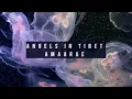 Download Lagu Angels in Tibet - Amaarae (Instrumental)