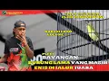 Download Lagu PLECI BAYANGAN - MASIH STABIL DI JALUR JUARA NV88 PCMI CHAPTER BANDUNG
