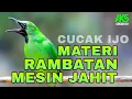 Download Lagu MASTERAN DAN PANCINGAN CUCAK IJO GACOR MATERI RAMBATAN MESIN JAHIT BIKIN LAWAN EMOSI CEPAT ON