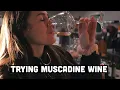 MUSCADINE Wine Tasting Paulk Vineyards
