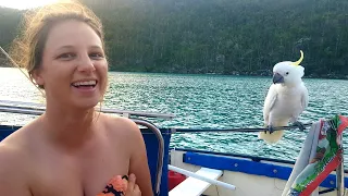 Cut Throats and Cockatoos – Free Range Sailing Ep 75