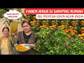 Lagu Panen Jeruk Di Samping Rumah‼️Ibu Mertua Bikin Acar India‼️