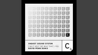 cant help the way that i feel david penn remix 