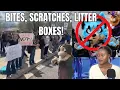 They ve Had Enough Walk Outs and Protests Over Bizarre Trend