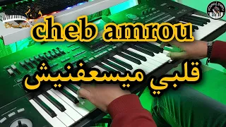 من أروع أغاني الشاب عمرو قلبي ميسعفنيش موسيقى صامتة Cheb Amrou Galbi Maysa3fnich 