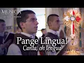 Download Lagu Pange Lingua  - Canto Gregoriano | Música con los Heraldos
