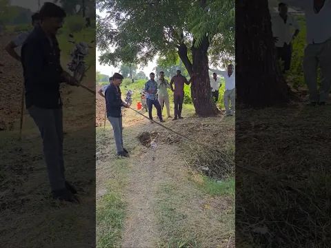 पहिली बार देखणे के लिये मी इतना बडा साप जिसे देख कर लोग बहुत डर गये थे 😱