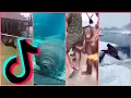 Wee Meme TikTok Compilation Part-1 Try Not To Laugh Me voy matar wee