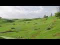 Teletubbies Opening Shot: Field 1 On Top \u0026 Underneath - Clip