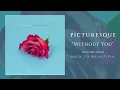Picturesque "Without You"