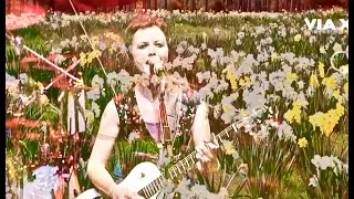 Download Daffodil Lament Music Video (The Cranberries, No Need To Argue Album) MP3