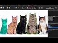 Enhancing Image Labeling Grounding DINO and SAM for Precise Text Prompt Instance Labeling