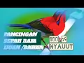 Download Lagu PANCINGAN SEPAH RAJA BAHAN / IJOAN