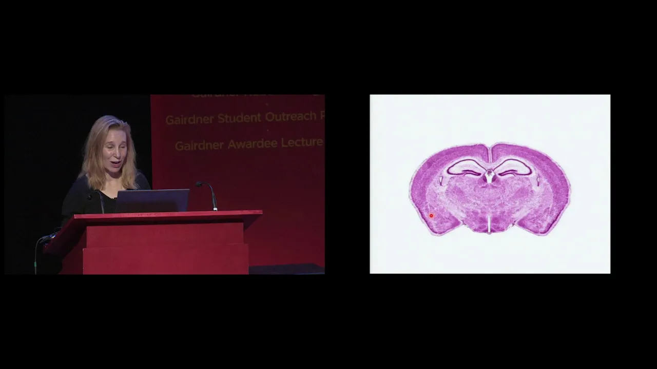 Dr Sheena Josselyn @ YorkU/Gairdner Symposium Neural Plasticity: Synapses to circuits