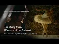 Lagu Helen Gumanti - The Dying Swan ft. Asep Hidayat and Wenny H. [Je t'aime Album]