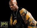 DMX ft.Swizz Beatz - Get It On The Floor (BIGR Extended Mix)