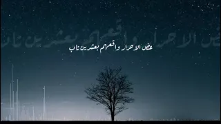 شيلة حط في الراس مفهوم القضاء والقدر Cover بصوت الفنانة هياتم Hyatem 