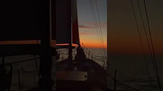 Soothing Sounds of the 🌊