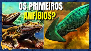 ORIGEM e EVOLUÇÃO dos ANFÍBIOS (Parte 1)