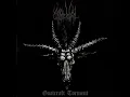 Urgehal - Satanic Black Metal in Hell