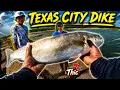 Fishing Texas City Dike in the Summer Heat Worth It