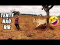 Lagu TENTE NÃO RIR IMPOSSÍVEL 🤣 - OS MELHORES memes e VÍDEOS ENGRAÇADOS 2026 #memes #comedia #400 