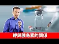 Download Lagu 補鉀修復胰島素阻抗,吃多澱粉碳水,會消耗細胞內鉀,自然療法,柏格醫生 Dr Berg