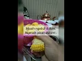 Download Lagu Tanah baru depok..