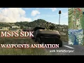 MSFS SDK Tutorial - Waypoints Animation Worldscript
