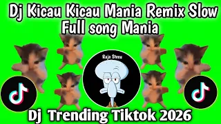 dj kicau kicau mania remix slow full song viral tiktok newest currently what you are looking for 