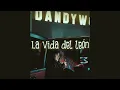 La vida del león - rabbanito (acústica)