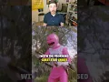 Download Lagu How Cassie Chan Nearly Became The Pink Lost Galaxy Power Ranger #powerrangers #shorts