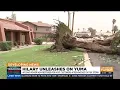 Clean up begins in Yuma after damage from T S