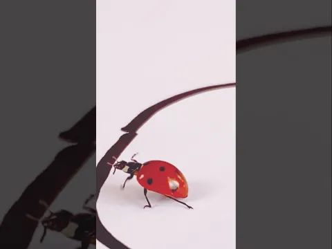 Ladybug Experiment 🤯 #Shorts #ArtioMix