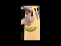 Philip the food guy food episode 18 the great Silver lake Murayama sushi is the goat