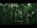 If you're praying for breakthrough... | Elevation Worship
