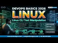 DevOps Basics 2026 Linux System Administration Linux CLI Text Manipulation OnlineITGuru
