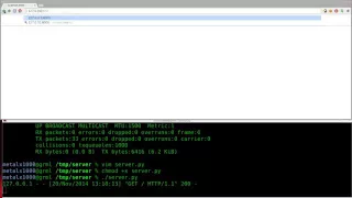 Setup a Webserver with Python Linux Tutorials clip30