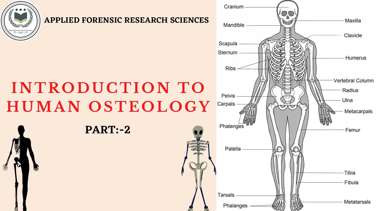 INTRODUCTION TO HUMAN OSTEOLOGY ! PART:-2! #forensicscience @Applie Forensic Research Sciences