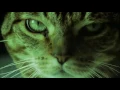 THATS THE WAY I LIKE IT REMIX EXTENDED DJ