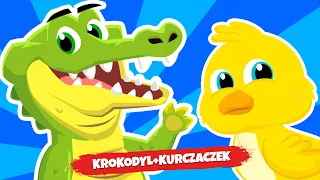 🐊🤔 Jak mówi krokodyl? | Kurczaczek - Piosenki dla dzieci o zwierzętach  - Śpiewające Brzdące