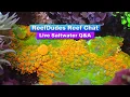 Lagu ReefDudes Saltwater Reef Chat Live QA