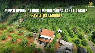 punya kebun durian impian tanpa takut gagal dengan fasilitas lengkap aa kadu siap membantu