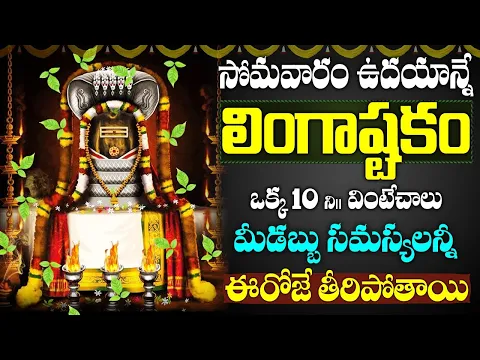 Download MP3 LIVE: సోమవారం ఉదయం లింగాష్టకం వింటే మీ కష్టాలన్నీ తీరి కోటీశ్వరులవుతారు | Lingashtakam Telugu