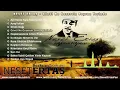 Neşet Ertaş - Gönül Ne Gezersin Seyran Yerinde