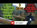 Download Lagu Ngeriwik suara buat murai batu cepat langsung kawin cepat bertelor dan murai jantan langsung gacor