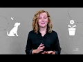 What is Deep Learning and What is it Used For