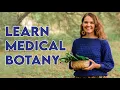 Learn Medical Botany with Wild Herb Academy