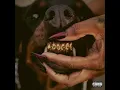 Leon Thomas - CATCH A STRAY (Audio)