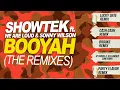 Showtek Ft. We Are Loud & Sonny Wilson - Booyah (Brooks Remix)